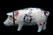 Lichtfus Pig